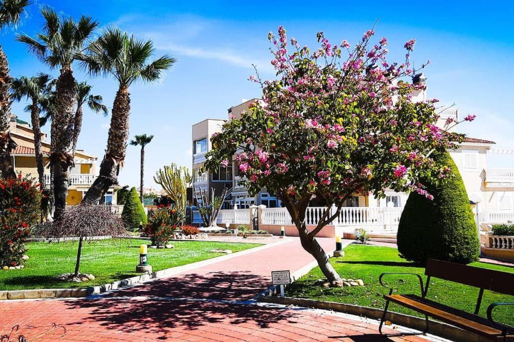 Apartament Z Duzym Tarasem Na Pieknym Osiedlu Orihuela Exteriör bild